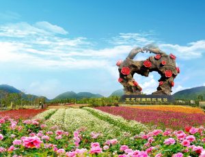 umroh plus hainan